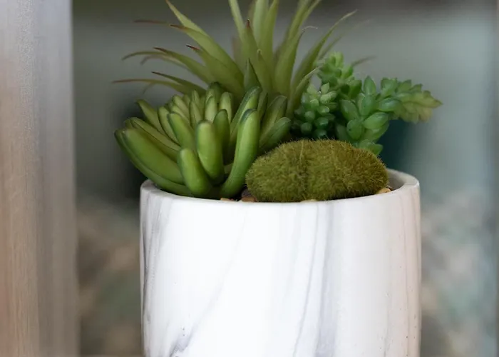 Domus Magnolia In The Center *