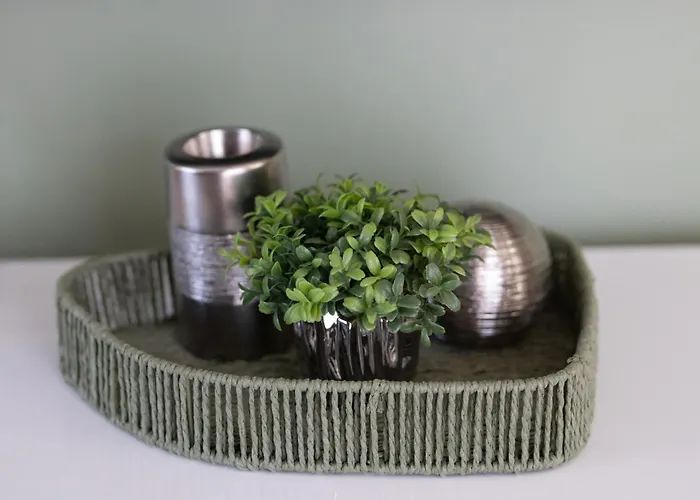 Domus Magnolia In The Center 公寓