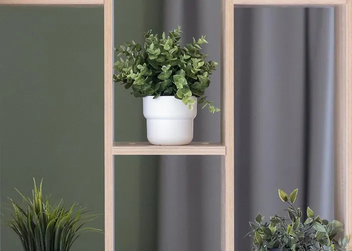 Domus Magnolia In The Center