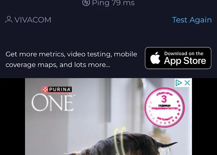 公寓 Domus Magnolia In The Center 普罗夫迪夫